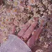 m ♡プロフ必読の画像