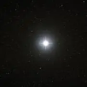 ⭐️Sirius⭐️の画像