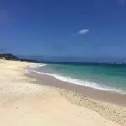 skweeklineの画像