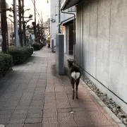 matsuko426プロフ必読の画像