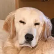 まこの画像
