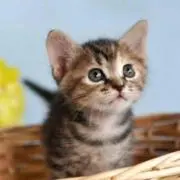 meeの画像
