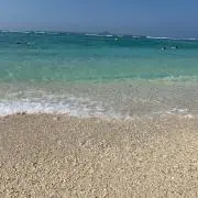 どんぐり【¥値下げ依頼】✨大歓迎の画像