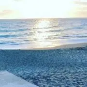 s（プロフ必読)の画像