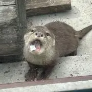 yuuの画像