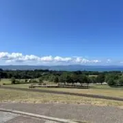 ひよの画像