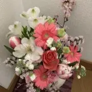 utoの画像