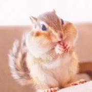 ヒロの画像
