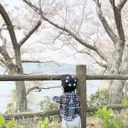 かい