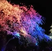 まるの画像