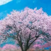 Foryouの画像