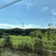 ゆうりの画像
