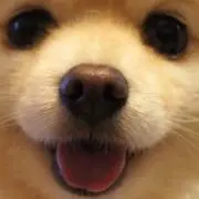 KOKOの画像