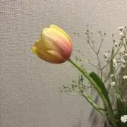 nk
