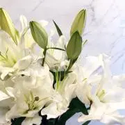 Momの画像