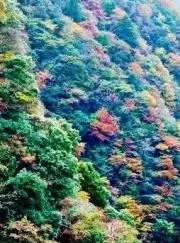 みんみるの画像