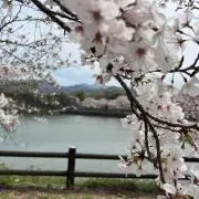 シータの画像
