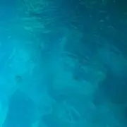 はるみの画像