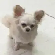 はに☆プロフ必読