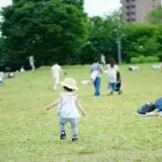 ぴよの画像