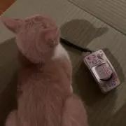 ゆにの画像