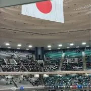 kasa haraの画像