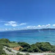 だだんだんの画像