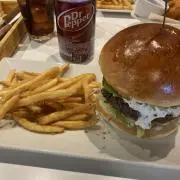 マーモット