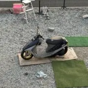 ねぎっていいよの画像