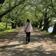 となりのトロロの画像