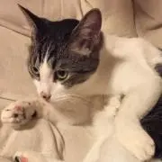 ミルク