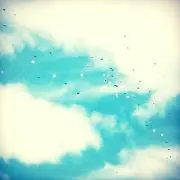 ちゃまの画像