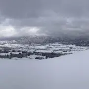 レッド