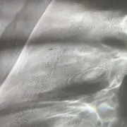 k.52329の画像