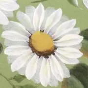 floralの画像
