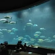 のーん