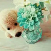 み～～