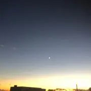 梅の画像
