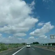 zuchiの画像