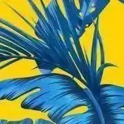 ハロ　※プロフ確認の画像
