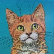 neko♡の画像