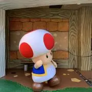 ひーの画像