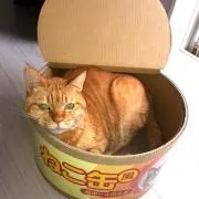 RUISUKEの画像