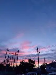 reyの画像