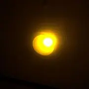 セガル