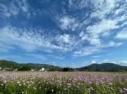 Rita Studio☆の画像