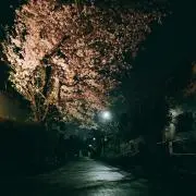 tkgk//