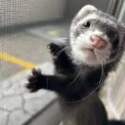 nanaの画像