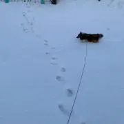 かたな