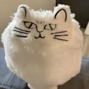 Ankoの画像